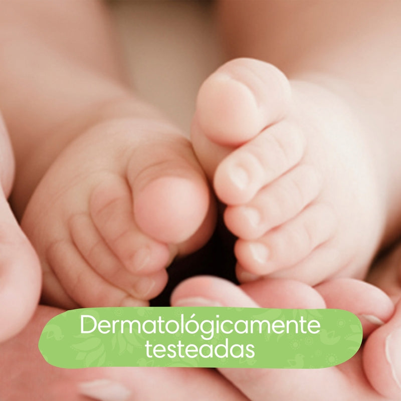 Toallitas húmedas Pampers Aroma De Aloe Vera, 192 unidades - Farmacias Arrocha