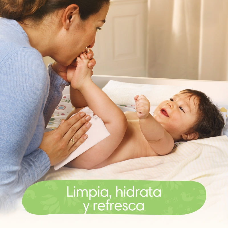 Toallitas húmedas Pampers Aroma De Aloe Vera, 192 unidades - Farmacias Arrocha