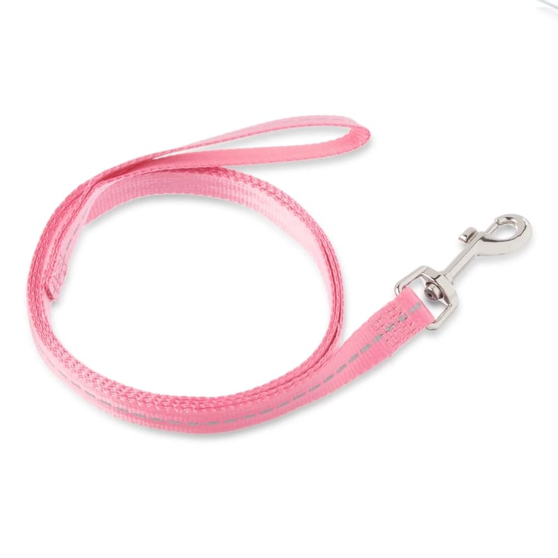Vibrant Life Correa Para Perro Nailon Sólido Rosa M 5FT - Farmacias Arrocha