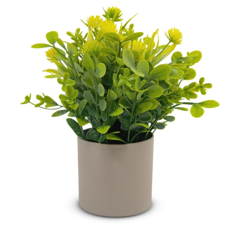 Planta Decorativa 21X8 CM - Farmacias Arrocha
