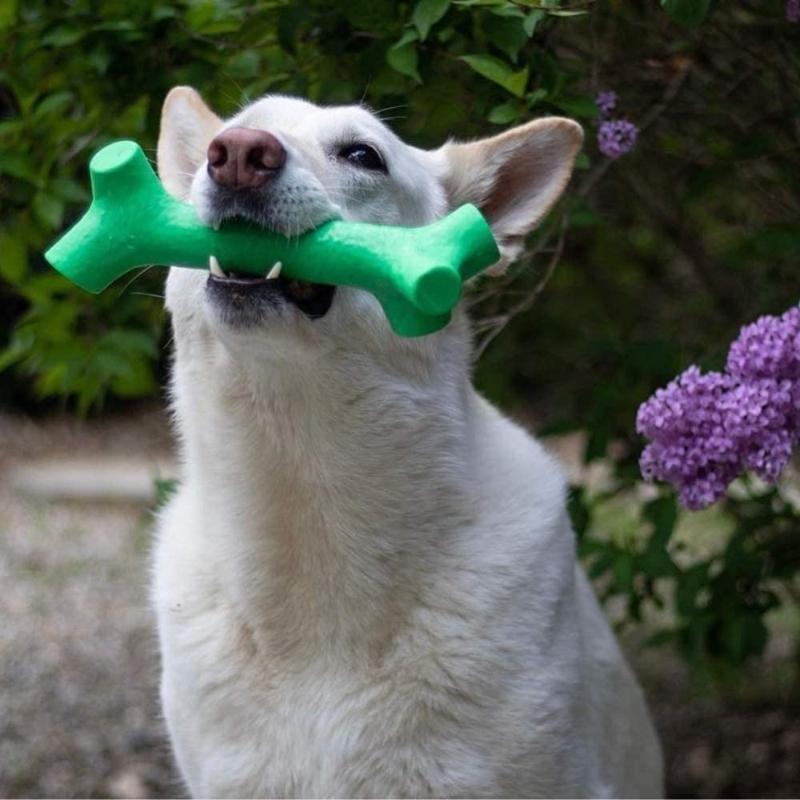 Pet Qwerks Toys Barkbone Stick Menta Medium - Farmacias Arrocha