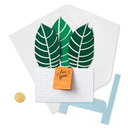 Hallmark Tarjeta Pop Up Plant - Farmacias Arrocha