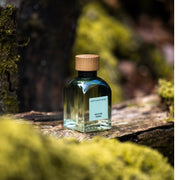 Adolfo Dominguez Vetiver Terra Edp 120 Ml - Farmacias Arrocha