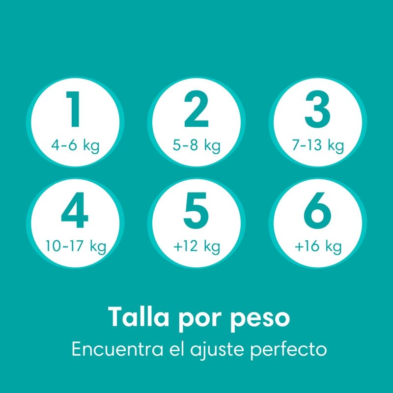 Pañales Pampers Baby Dry Talla 4, 92 unidades - Farmacias Arrocha