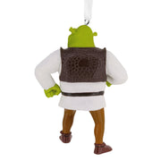 ORNAMENT RSN SHREK - Farmacias Arrocha