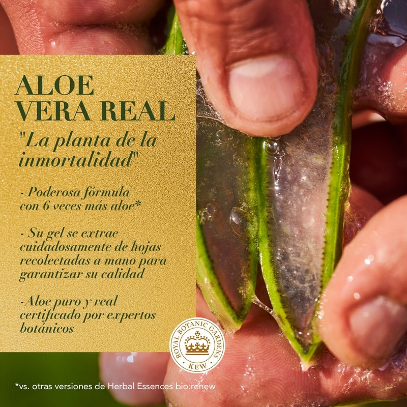 Acondicionador Herbal Essences Bio:renew 6x Aloe & Mango Protege & Repara 250 ml - Farmacias Arrocha