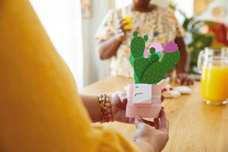 Hallmark Tarjeta Pop Plants - Farmacias Arrocha