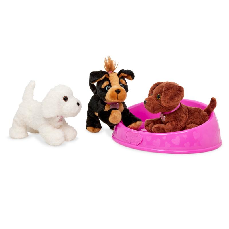 Pucci Pups Adopta un Pucci Pup - Farmacias Arrocha