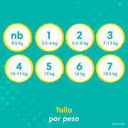 Pañales Pampers Swaddlers Talla 5, 19 unidades - Farmacias Arrocha