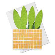 Hallmark Plant - Farmacias Arrocha