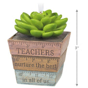 Hallmark Ornament Thank You Teacher - Farmacias Arrocha