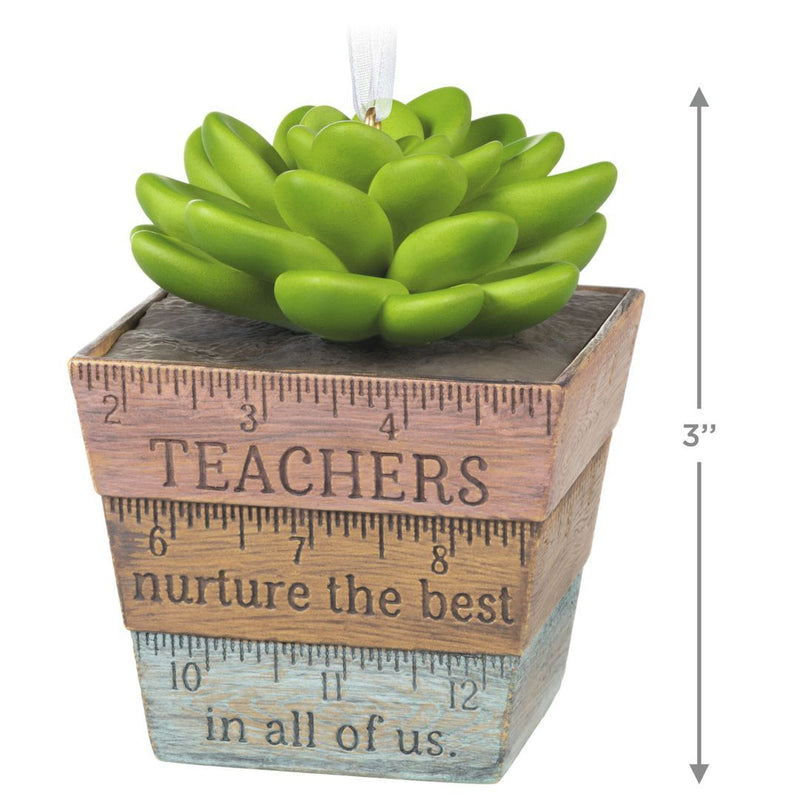 Hallmark Ornament Thank You Teacher - Farmacias Arrocha