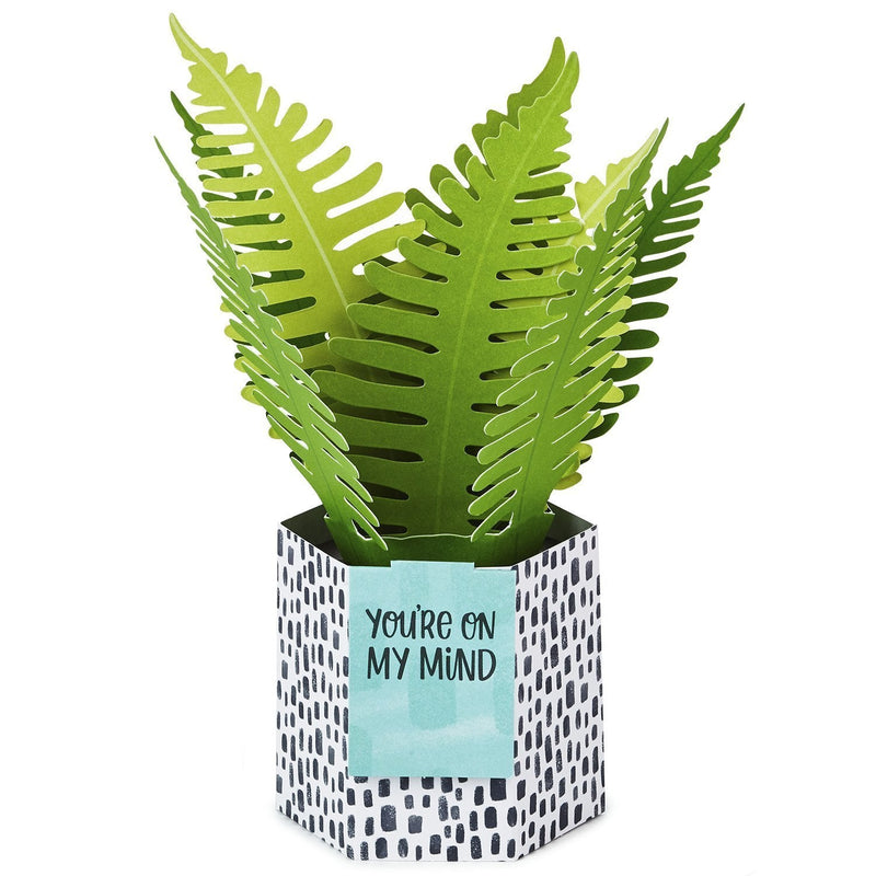 Hallmark Tarjeta Plants - Farmacias Arrocha