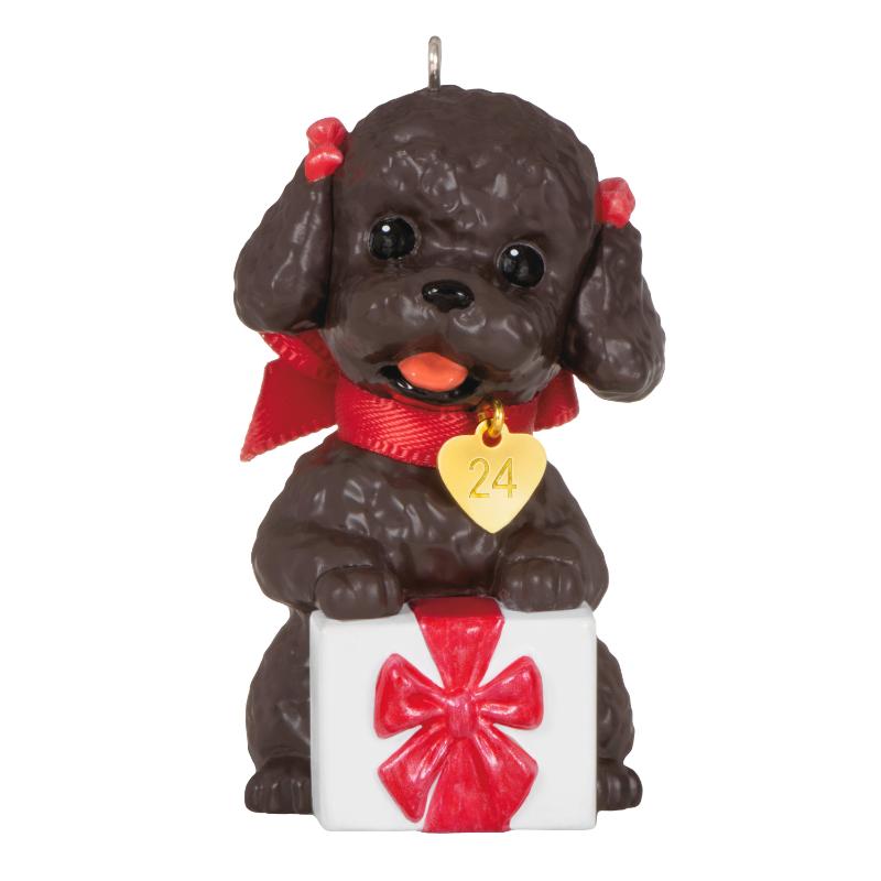 Kpsk Orn Poodle 34 - Farmacias Arrocha