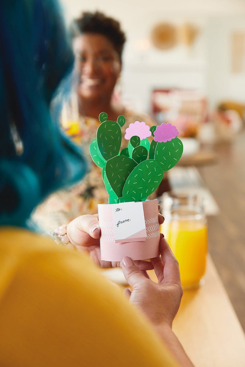 Hallmark Tarjeta Pop Plants - Farmacias Arrocha