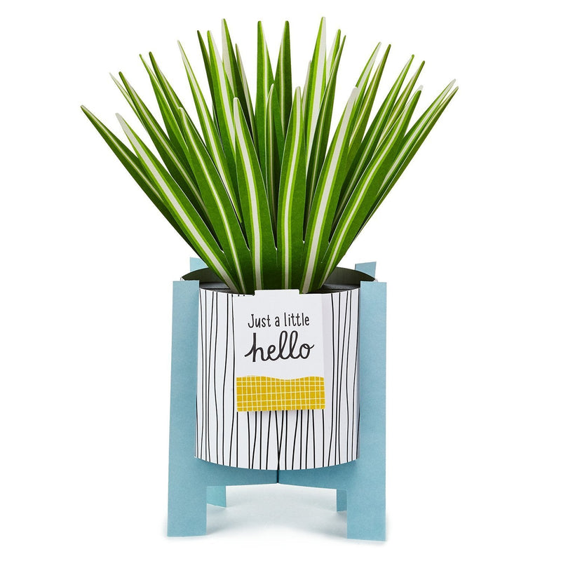 Hallmark Jfy Pw Pop Plants - Farmacias Arrocha