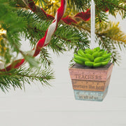 Hallmark Ornament Thank You Teacher - Farmacias Arrocha