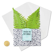 Hallmark Tarjeta Plants - Farmacias Arrocha