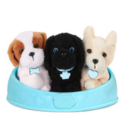 Pucci Pups - Farmacias Arrocha