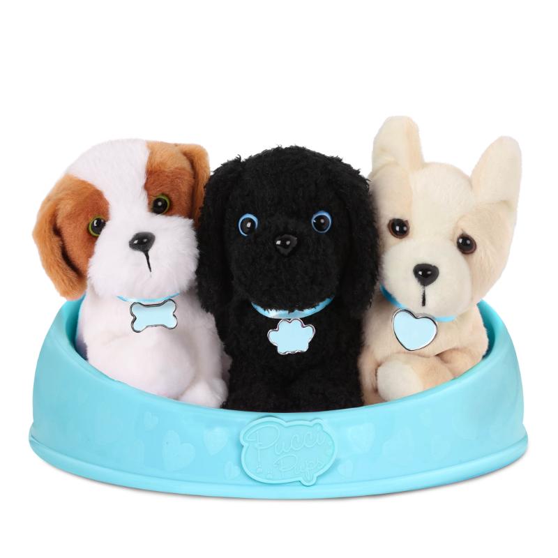 Pucci Pups - Farmacias Arrocha