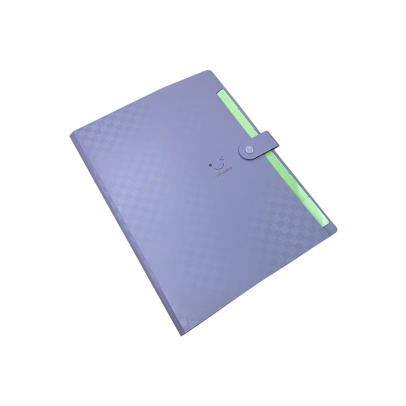 Top Team Pastel Color 7Pockets Expanding - Farmacias Arrocha