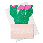 Hallmark Tarjeta Pop Plants - Farmacias Arrocha