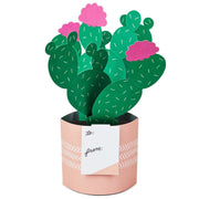 Hallmark Tarjeta Pop Plants - Farmacias Arrocha