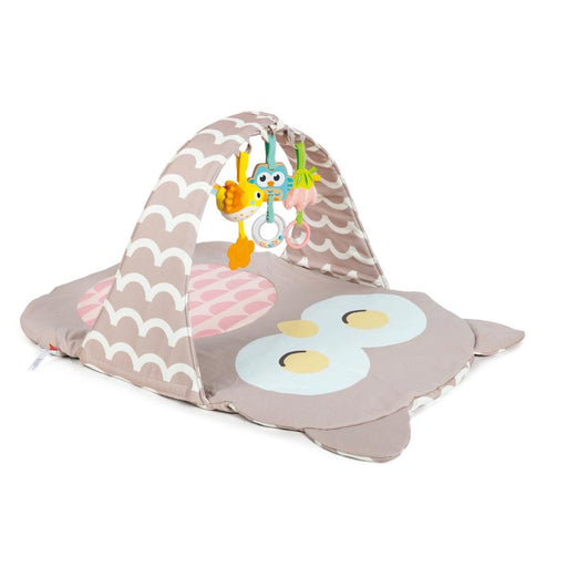 Hape Gimnasio Búho Oscar - Farmacias Arrocha