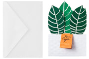 Hallmark Tarjeta Pop Up Plant - Farmacias Arrocha