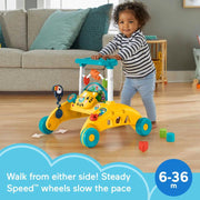Fisher Price Andadera Primeros Pasos 2 Lados - Farmacias Arrocha