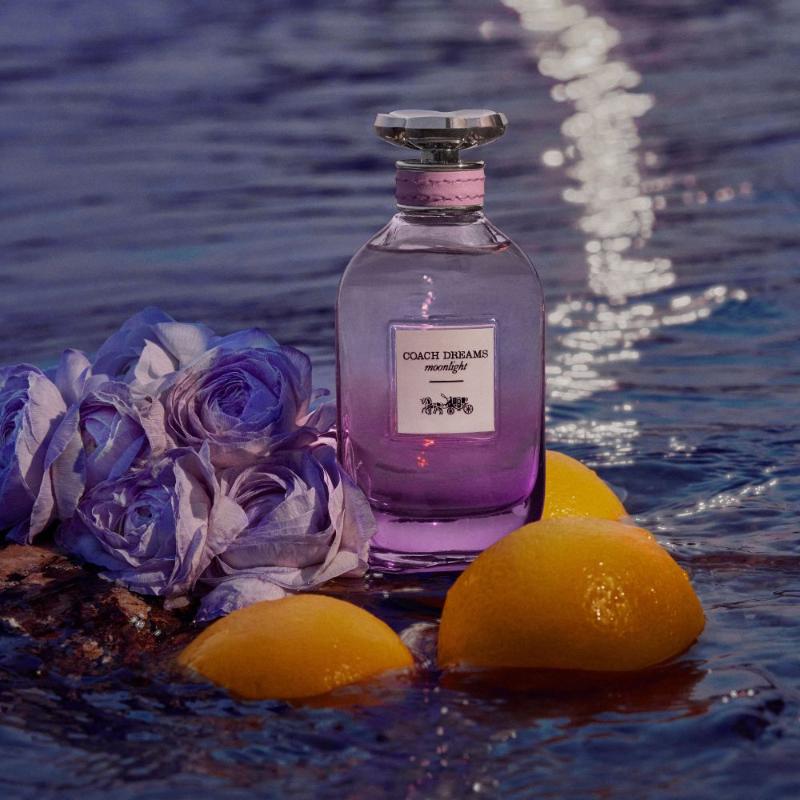 Coach Dreams Moonlight EDP 90ml - Farmacias Arrocha