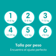 Pañales Pampers Baby Dry Talla 5, 78 unidades - Farmacias Arrocha