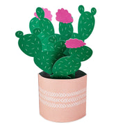 Hallmark Tarjeta Pop Plants - Farmacias Arrocha