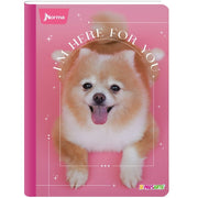 Norma Cuaderno Cosido Grande X-Presarte F 96P R/A - Farmacias Arrocha