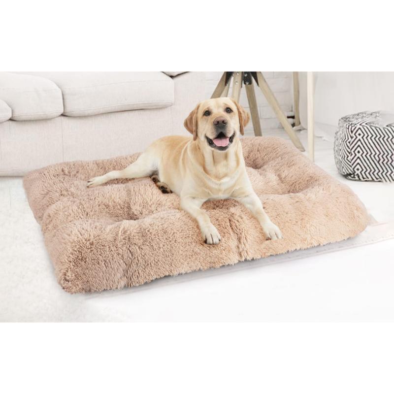 Cama Para Perro Rectangular Crema - Farmacias Arrocha
