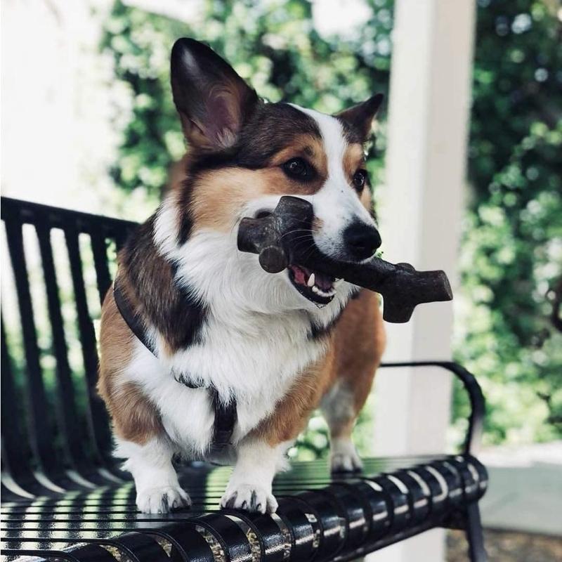 Pet Qwerks Toys Barkbone Stick Mantequilla De Maní X-Large - Farmacias Arrocha