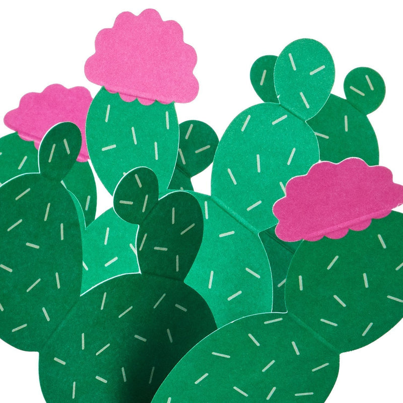 Hallmark Tarjeta Pop Plants - Farmacias Arrocha