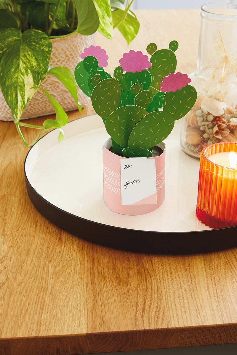 Hallmark Tarjeta Pop Plants - Farmacias Arrocha