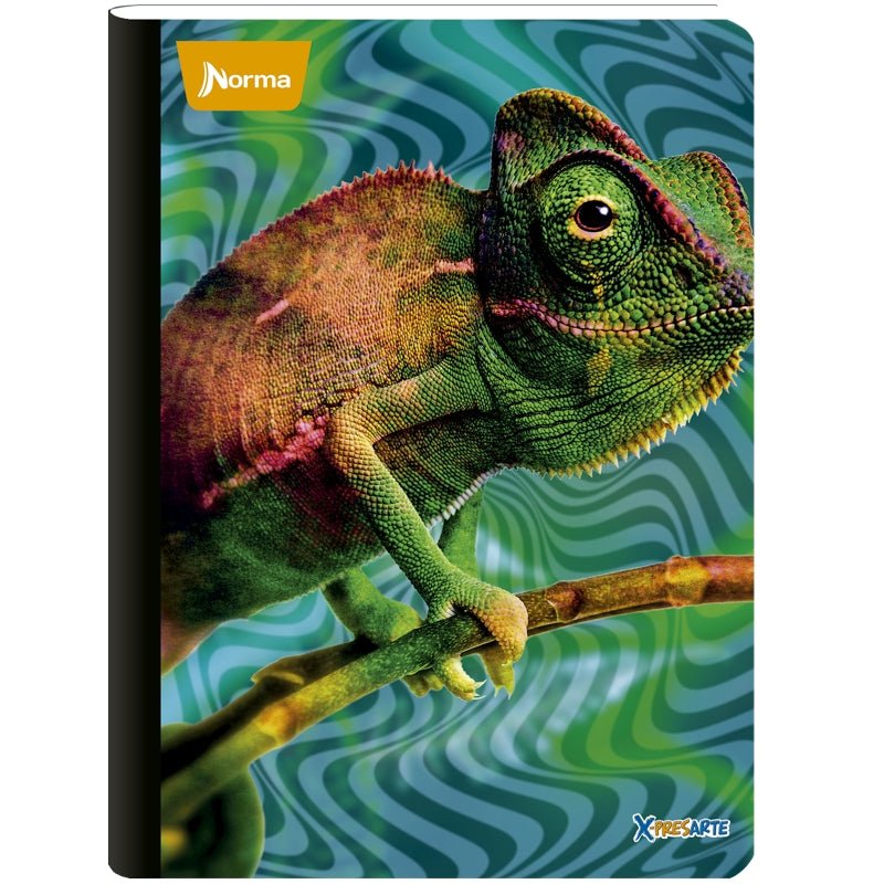 Norma Cuaderno Cosido Grande X-Presarte M 96P R/A - Farmacias Arrocha