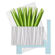 Hallmark Jfy Pw Pop Plants - Farmacias Arrocha