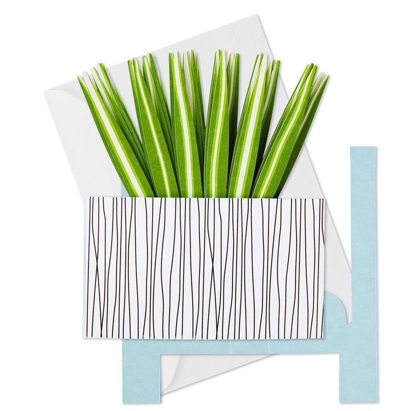 Hallmark Jfy Pw Pop Plants - Farmacias Arrocha