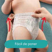 Pañales Pampers Premium Care Pants Talla M, 34 unidades - Farmacias Arrocha