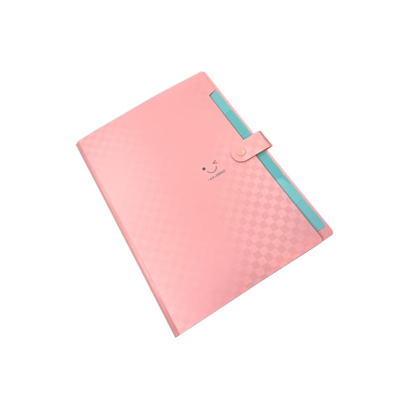 Top Team Pastel Color 7Pockets Expanding - Farmacias Arrocha