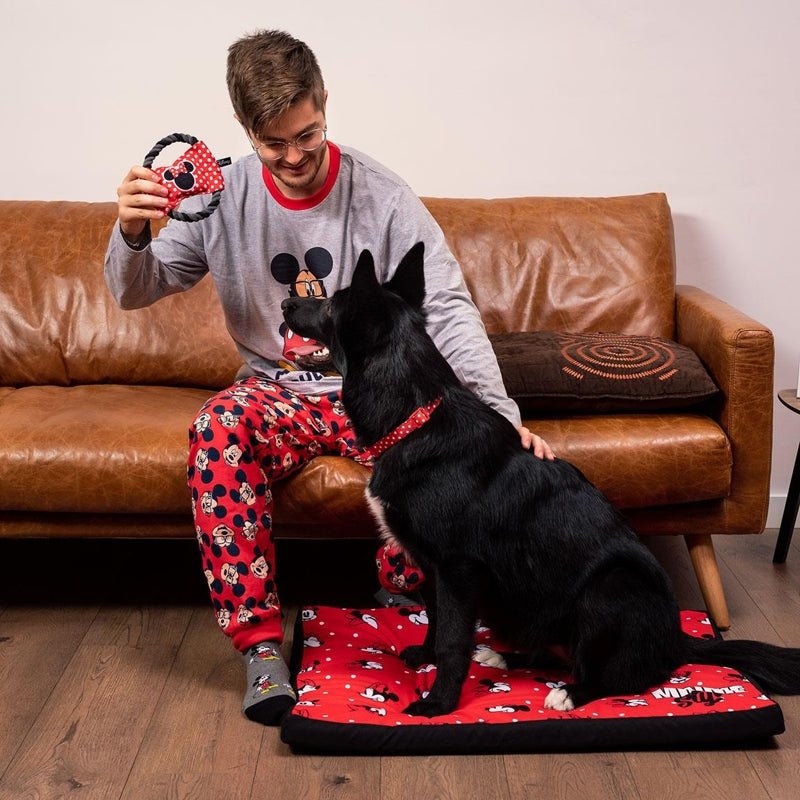 Colcha Para Perros Con Diseño Minnie - Farmacias Arrocha