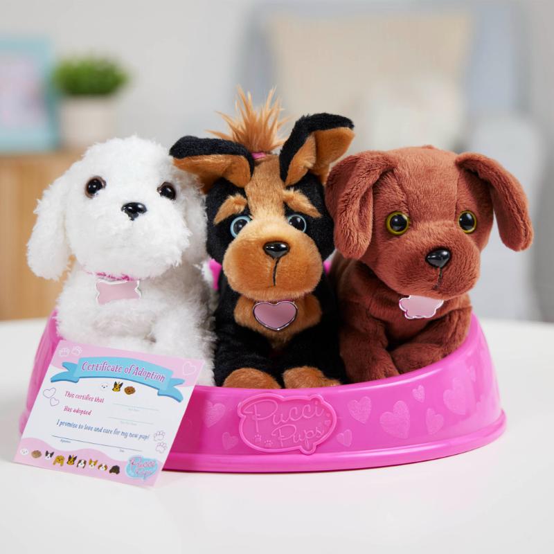 Pucci Pups Adopta un Pucci Pup - Farmacias Arrocha