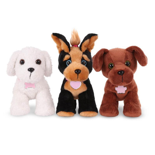 Pucci Pups Adopta un Pucci Pup - Farmacias Arrocha