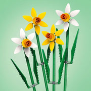 Lego Flores Narcisos De Celebración Amarillas Y Blancas - Farmacias Arrocha