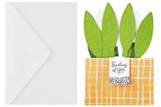 Hallmark Plant - Farmacias Arrocha