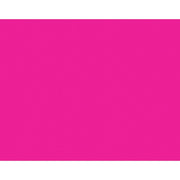 Bazic Cartulina Fluo Pink 22X28 - Farmacias Arrocha