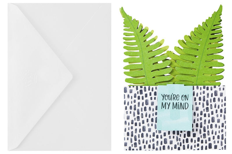 Hallmark Tarjeta Plants - Farmacias Arrocha
